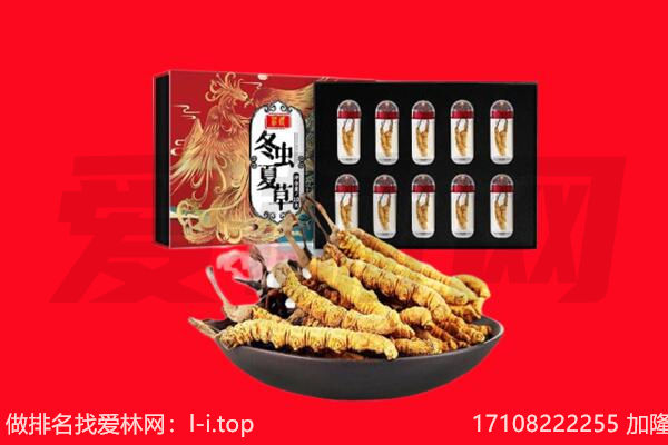 福鼎市回收虫草.jpg